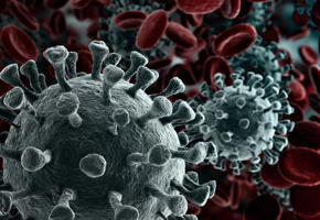 A microscope image of virus particles