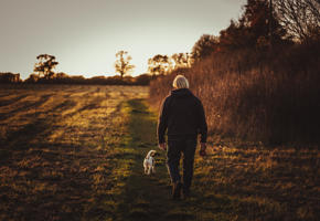 A person walking their dog in a field at sunset.