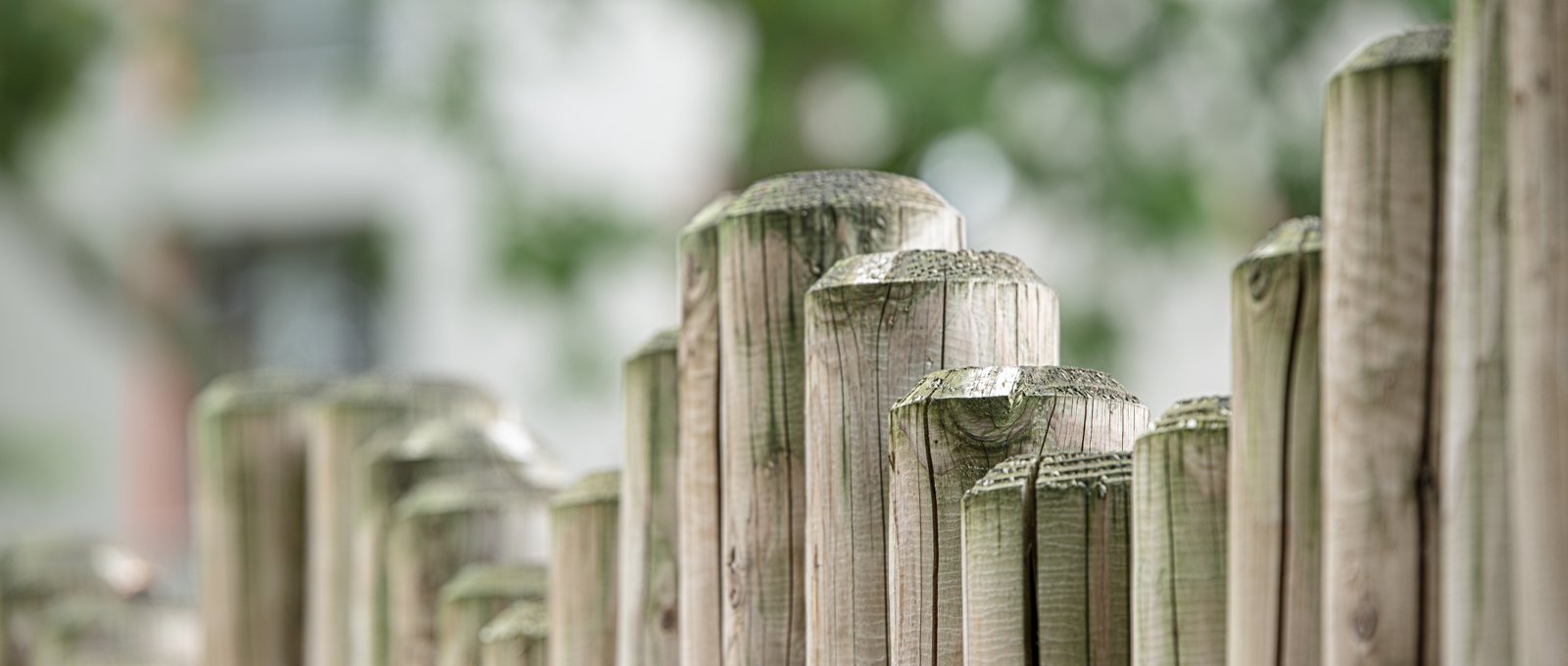 Close up shot of the top of fenceposts, blurring into the distance
