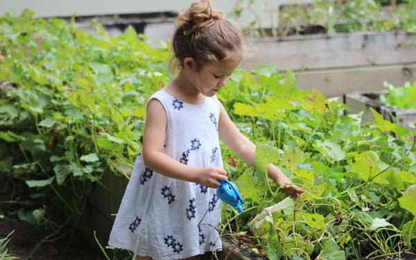 A small child gardening