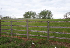 A grassy field behind a wooden fence.