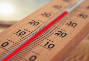 A wooden thermometer 