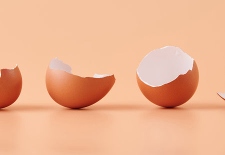 Photograph of four broken eggshells lined up against a pink background